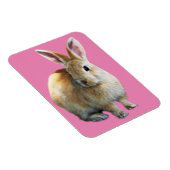 Osterkaninchen Magnet (Rechte Seite)