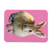 Osterkaninchen Magnet (Horizontal)