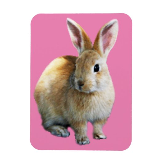 Osterkaninchen Magnet (Vertikal)