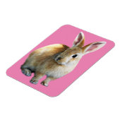 Osterkaninchen Magnet (Linke Seite)