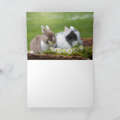 Osterkarte Dankeskarte (Innenseite)