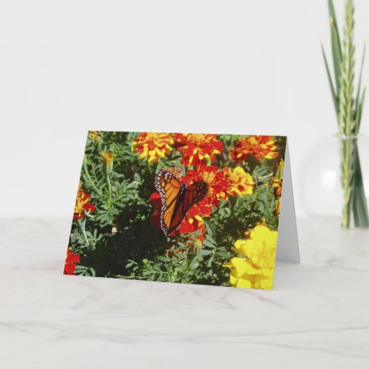 Osterkarte "Fluttering" Karte (Vorderseite)