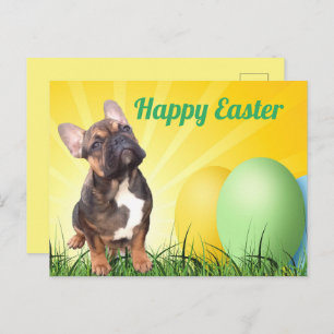 Osterkarte französische Bulldogge Postkarte