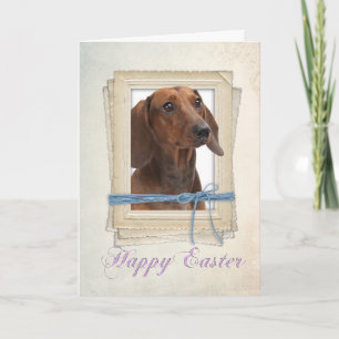 Osterkarte für Dachshund Feiertagskarte