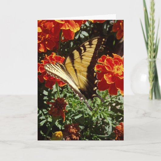 Osterkarte "Gelber Schmetterling" Karte (Vorderseite)