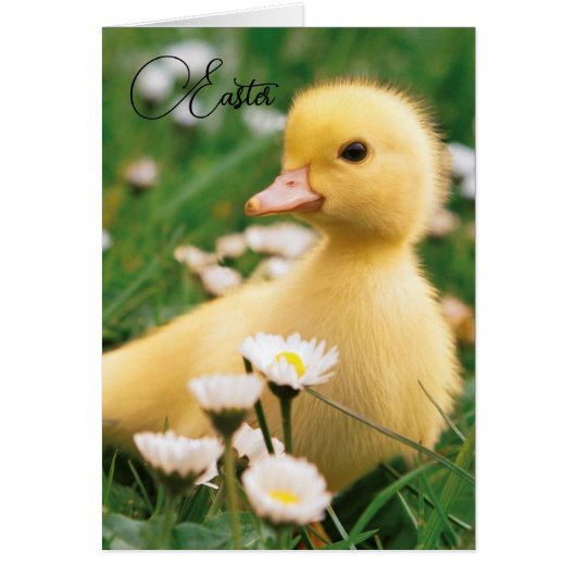 Osterkarte - Niedliches Entlüften (Vorne)