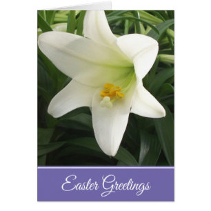 Osterkarte Osterlilie