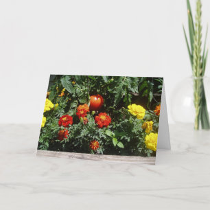 Osterkarte "Wie ein roter Gummiball" Karte