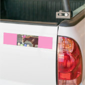 Osterkastanienpferd Autoaufkleber (Auf Lkw)