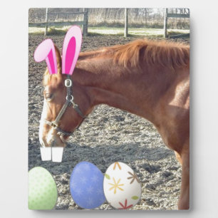 Osterkastanienpferd Fotoplatte