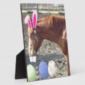 Osterkastanienpferd Fotoplatte (Seite)