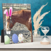 Osterkastanienpferd Fotoplatte (Seite)