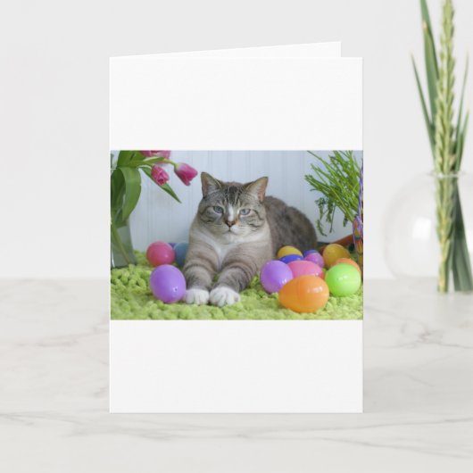 Osterkatze Feiertagskarte (Vorderseite)