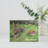 Osterkatze ;-) 😽 🐰 feiertagspostkarte (Stehend Vorderseite)