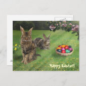 Osterkatze ;-) 😽 🐰 feiertagspostkarte (Vorne/Hinten)