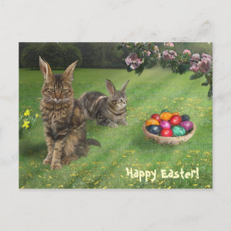 Osterkatze ;-) 😽 🐰 feiertagspostkarte