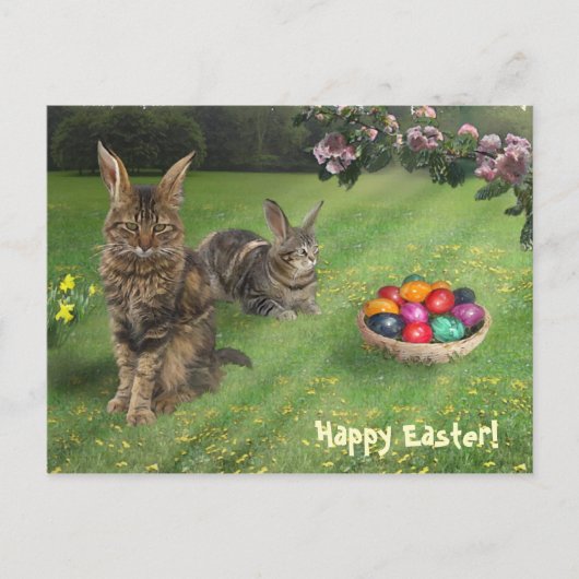 Osterkatze ;-) 😽 🐰 feiertagspostkarte (Vorderseite)