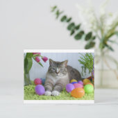Osterkatze Feiertagspostkarte (Stehend Vorderseite)