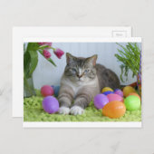 Osterkatze Feiertagspostkarte (Vorne/Hinten)