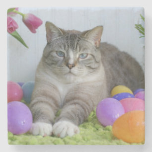 Osterkatze Klassischer Rundsticker Mason Jar Steinuntersetzer