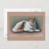 Osterkatze und Küken Feiertagspostkarte (Vorne/Hinten)