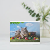 Osterkatzen Feiertagspostkarte (Stehend Vorderseite)