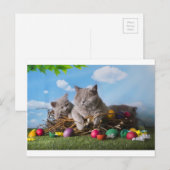 Osterkatzen Feiertagspostkarte (Vorne/Hinten)