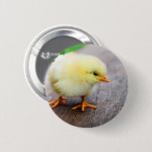 Osterkeule Button (Vorne & Hinten)