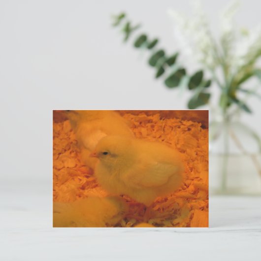 Osterkeule Feiertagspostkarte (Stehend Vorderseite)