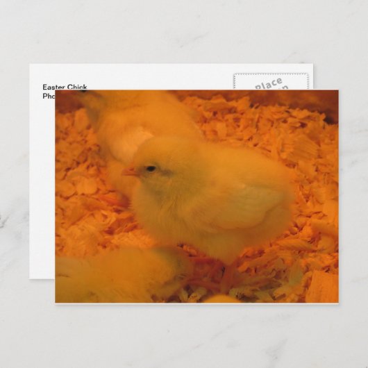 Osterkeule Feiertagspostkarte (Vorne/Hinten)