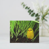 Osterkeule Feiertagspostkarte (Stehend Vorderseite)