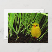 Osterkeule Feiertagspostkarte (Vorne/Hinten)