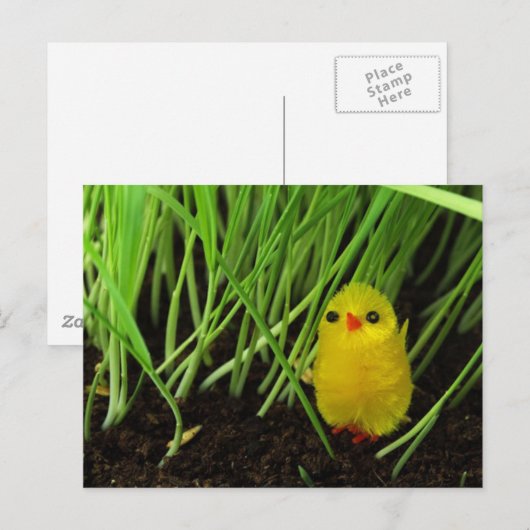 Osterkeule Feiertagspostkarte (Vorne/Hinten)