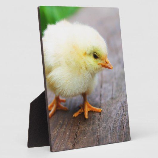 Osterkeule Fotoplatte (Seite)