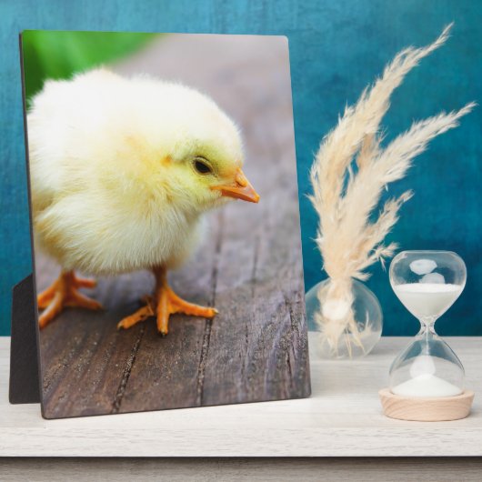 Osterkeule Fotoplatte (Seite)