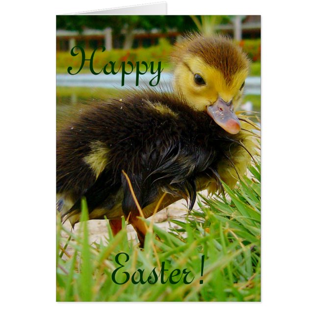 Osterkeule II (Vorne)