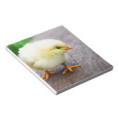 Osterkeule Notizblock (angewinkelt)