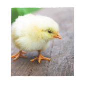 Osterkeule Notizblock (Vorderseite)