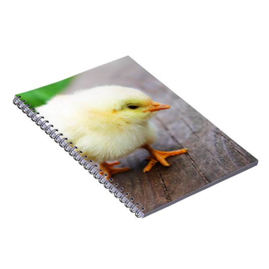 Osterkeule Notizblock (Rechte Seite)