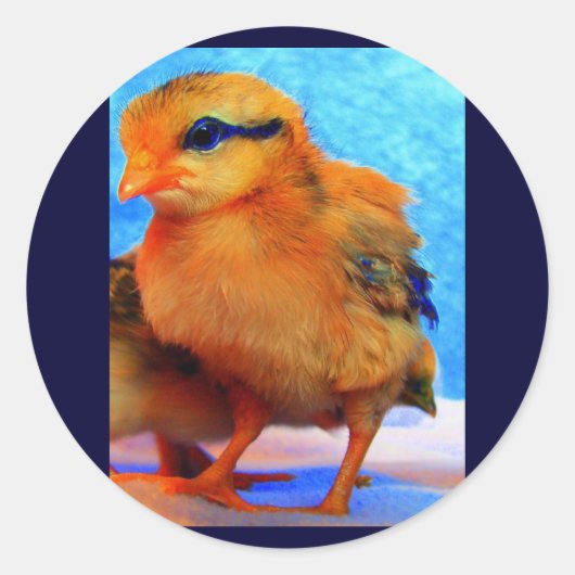 Osterkick-A-Dee-Light Runder Aufkleber (Vorderseite)