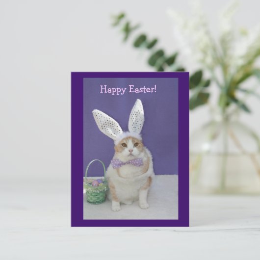 Osterkitty Feiertagspostkarte (Stehend Vorderseite)