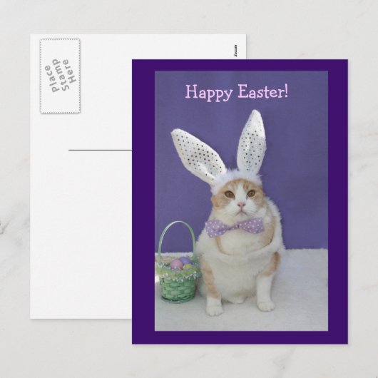 Osterkitty Feiertagspostkarte (Vorne/Hinten)