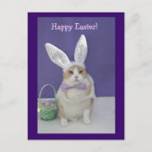 Osterkitty Feiertagspostkarte (Vorderseite)