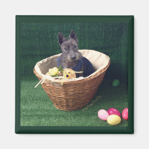 Osterkorb Scottie Magnet