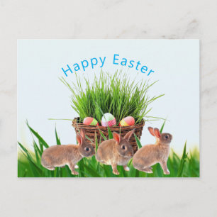 Osterkorb und Hasen Frohes Fest Postkarte
