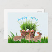 Osterkörbe und Happy Holiday Postkarte (Vorne/Hinten)