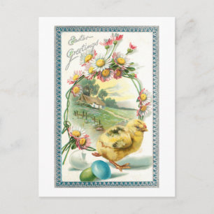Osterküken im Vintage-Stil, Gruß und Gänseblümchen Postkarte