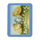 Osterküken mit Eiermagnet Magnet (Vertikal)