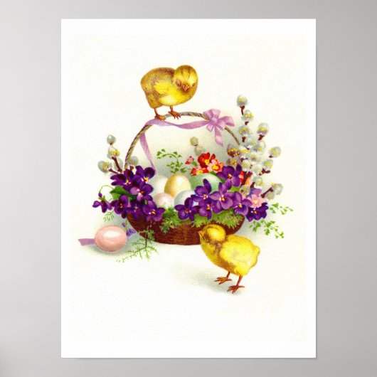 Osterküken und -eier poster (Vorne)