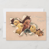 Osterküken Vintages Ostern Feiertagskarte (Vorderseite)